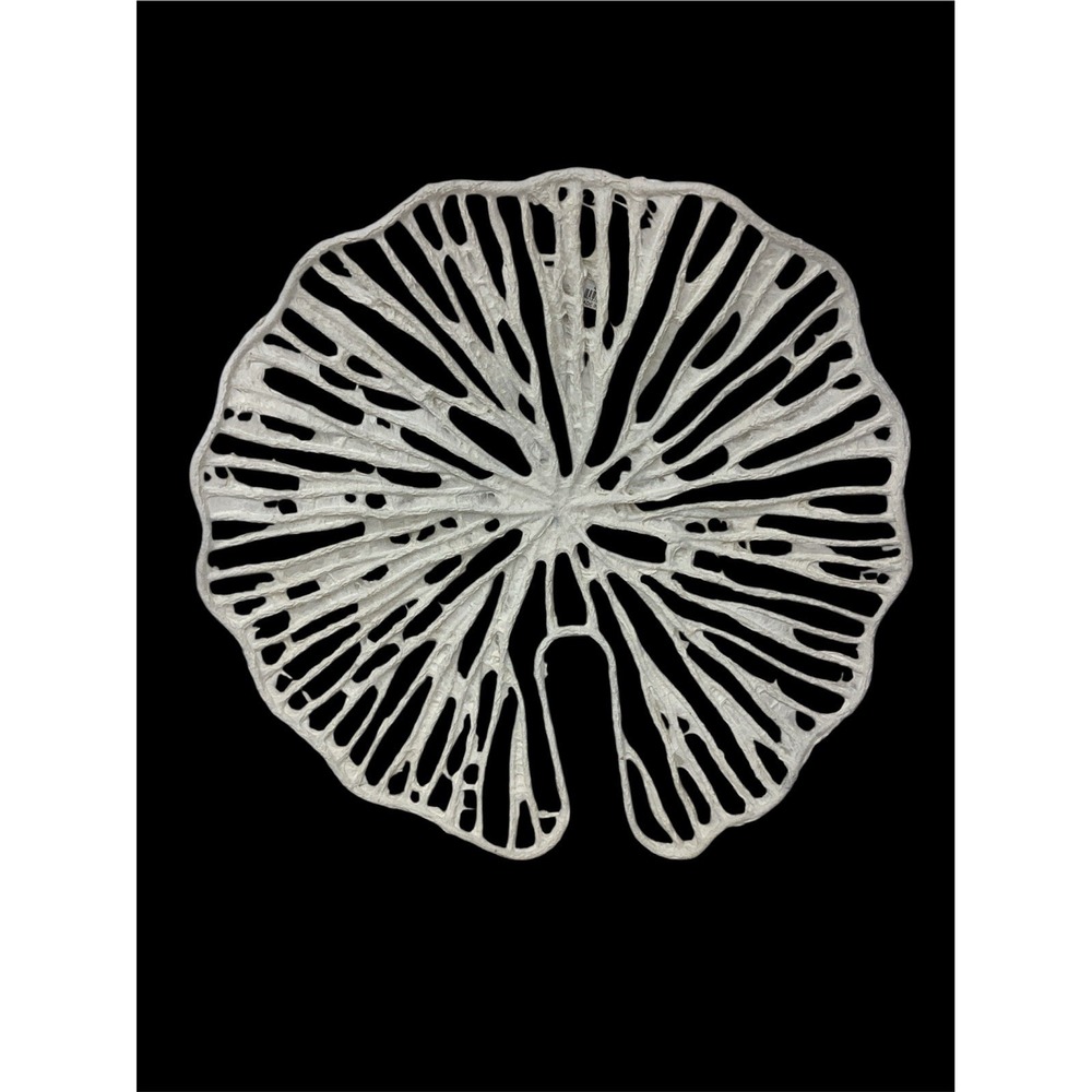 White Coral Shaped Paper Mache & Metal Wall Décor 16x16 A&B Home